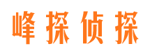 沅陵市调查公司